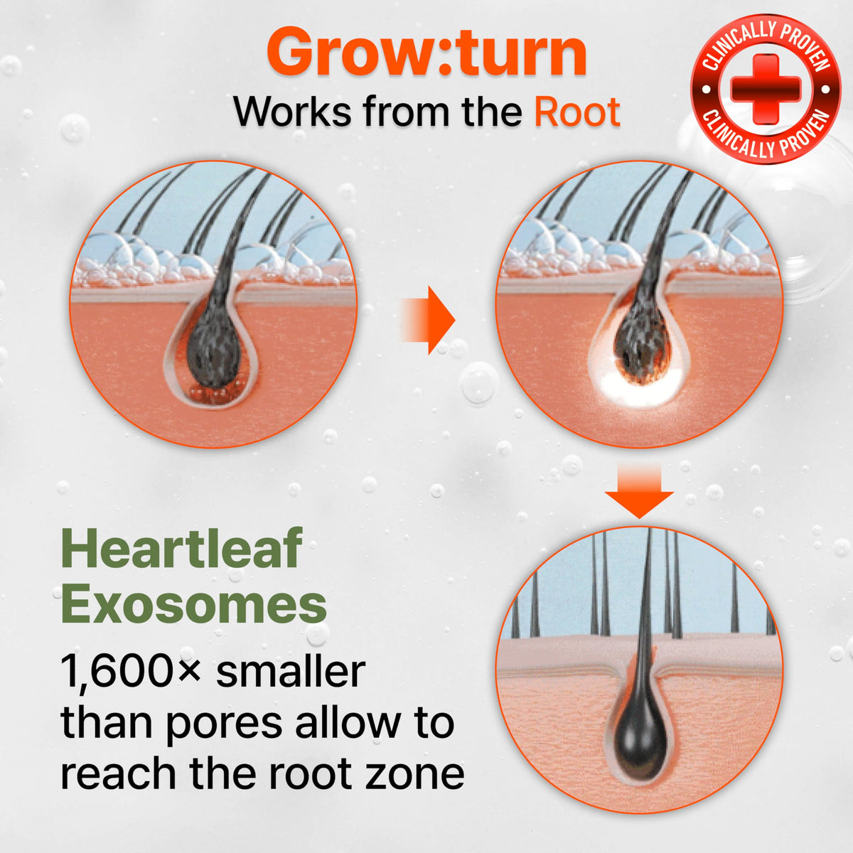 lilyeve GROWTURN packaging closeup emphasizing clean, color-safe formula