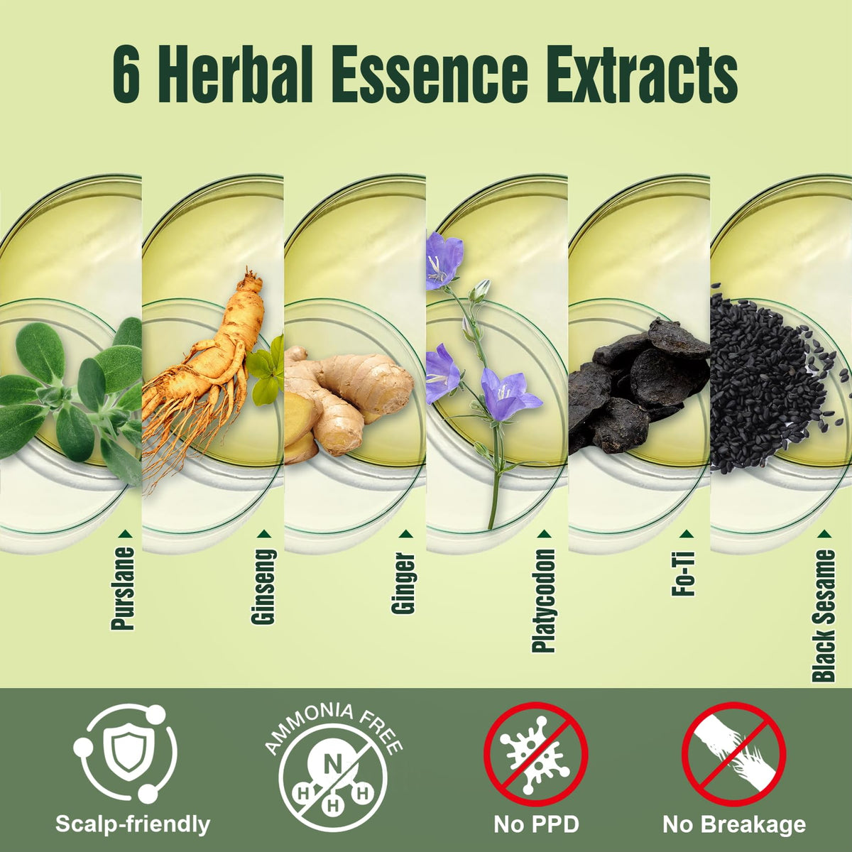 Limer herbal blend of ginger and ginseng nourishes hair during color.
