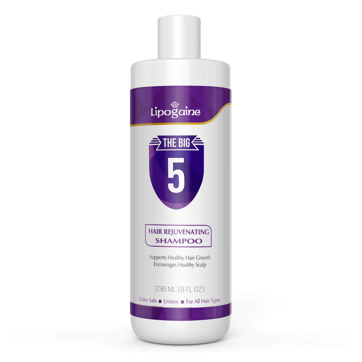 Lipogaine Big 5 shampoo bottle purple highlighting natural formula for healthier hair.