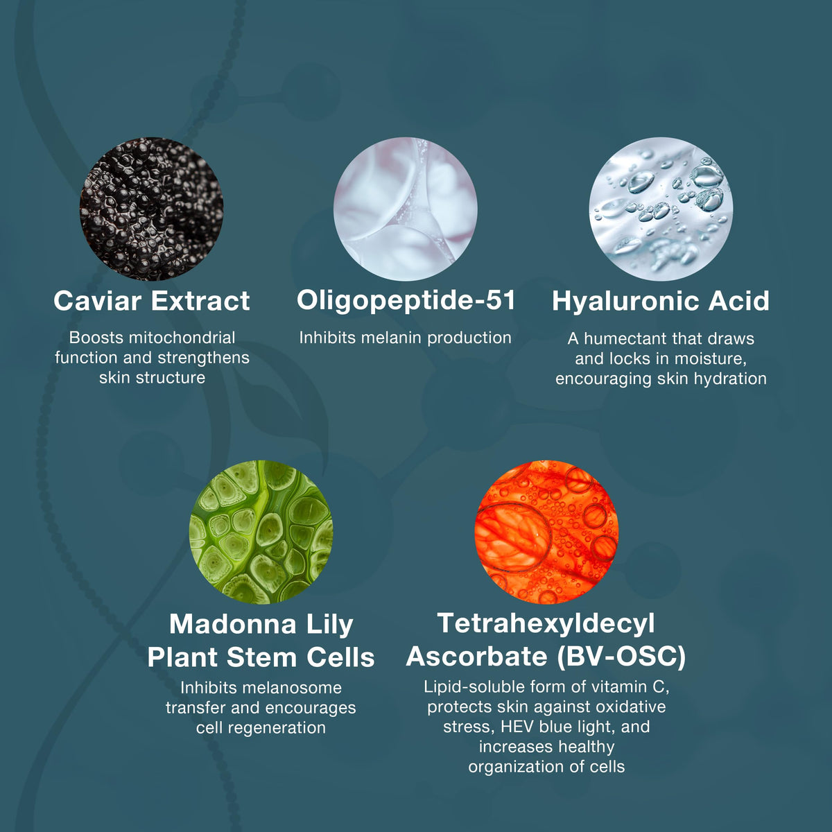 Lira Clinical BIO Caviar Creme with lipid-soluble vitamin C supporting hydrated skin.