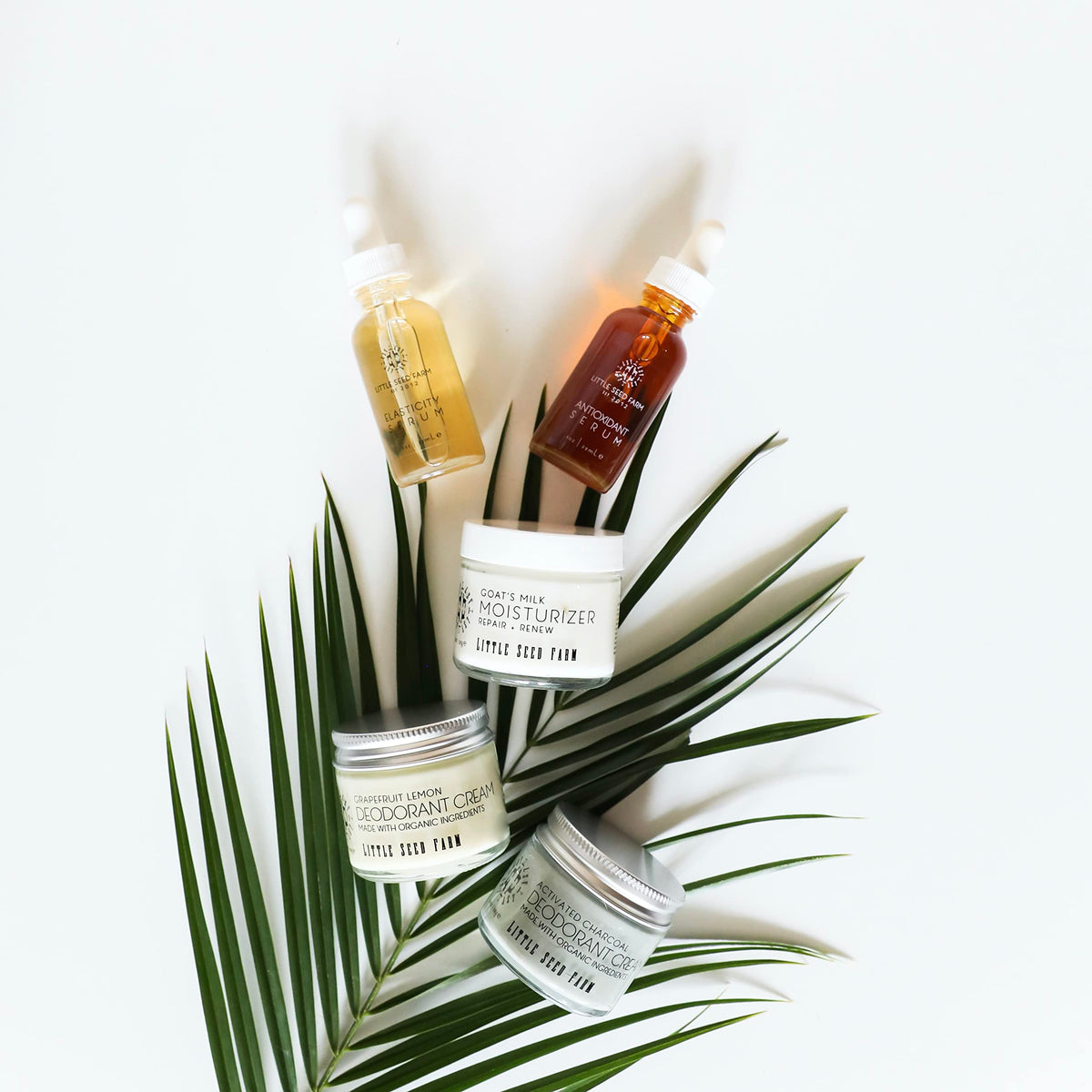 Little Seed Farm Elasticity Serum aroma suggests a refreshing aromatherapy moment.