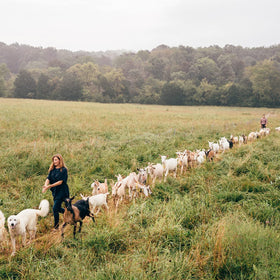 Little Seed Farm grass-fed goats pasture life imagery for natural skincare origin