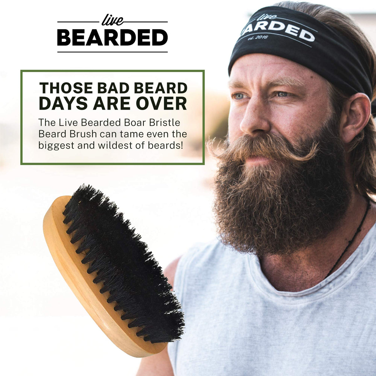 Live Bearded 100-percent boar bristles closeup for gentle conditioning and reduced snagging.