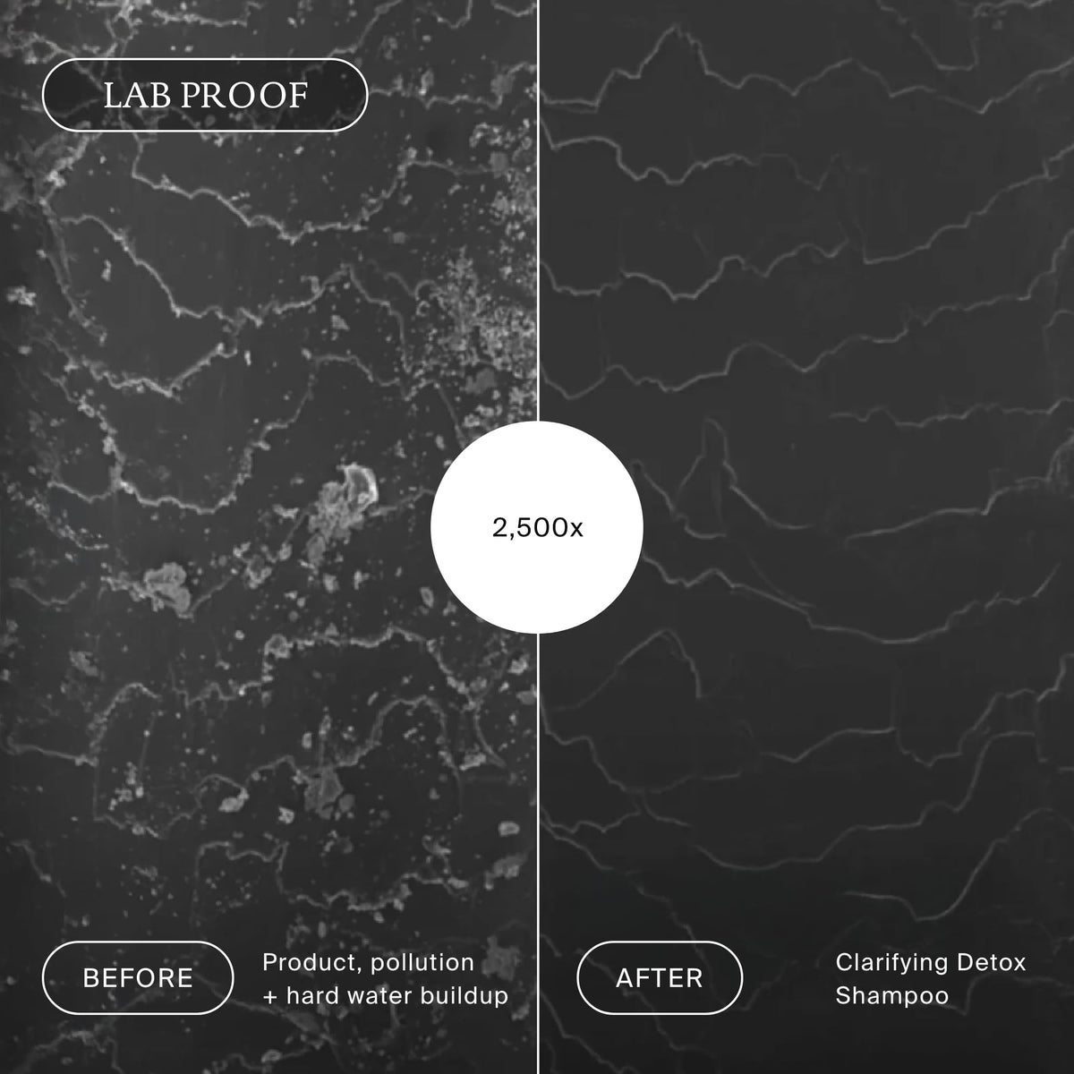 Living Proof Clarifying Detox Shampoo color-vibrancy shot emphasizing brighter tones