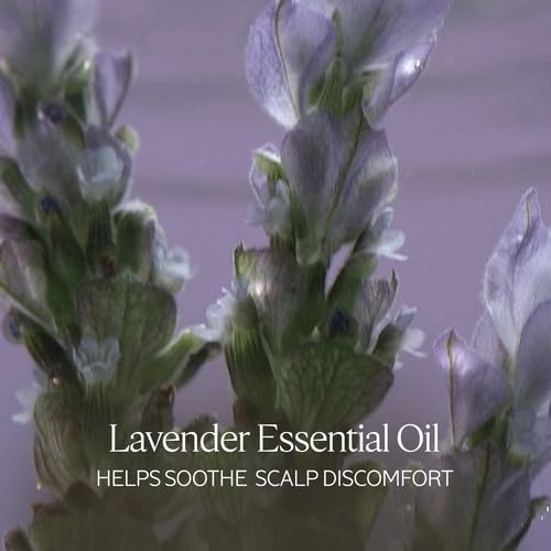 L'Occitane Aromachologie Gentle & Balance conditioner applying to hair for smoothing