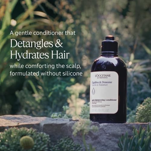 L'Occitane Aromachologie Gentle & Balance conditioner texture close-up for detangling