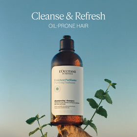 Foam from L'Occitane Aromachologie Purifying Freshness Shampoo for a refreshing cleanse
