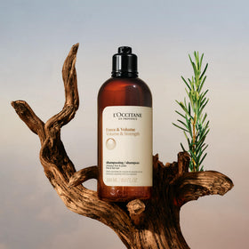 L'OCCITANE Aromachologie shampoo label highlights five essential oils for refreshingly aromatic care