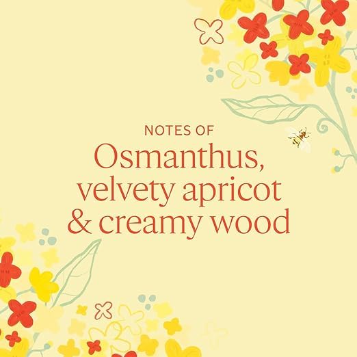 L'Occitane Lavender hand cream soothing and hydrating hands