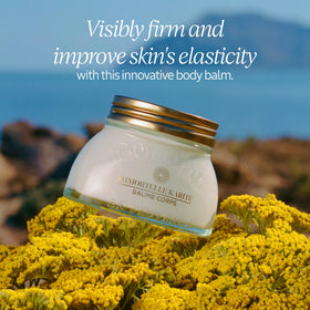 L'Occitane Immortelle Shea Balm swirl demonstrating creamy texture for body hydration