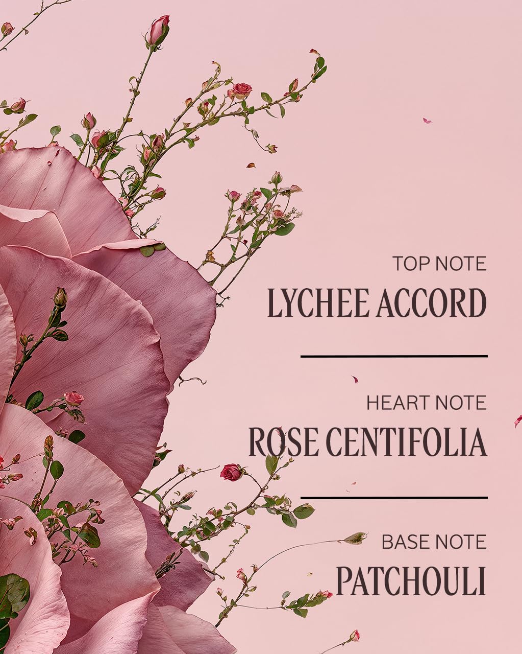 Apply L'Occitane Rose Hand Cream to soften dry hands after chores.