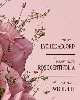 Apply L'Occitane Rose Hand Cream to soften dry hands after chores.