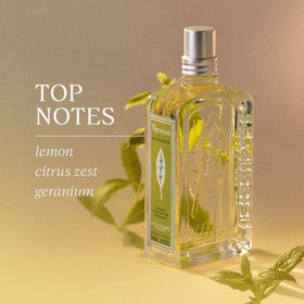L'Occitane Verbena Roll-On hand gesture showing quick scent refresh.