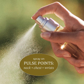 L'Occitane Verbena Roll-On travel size display for on-the-go use.