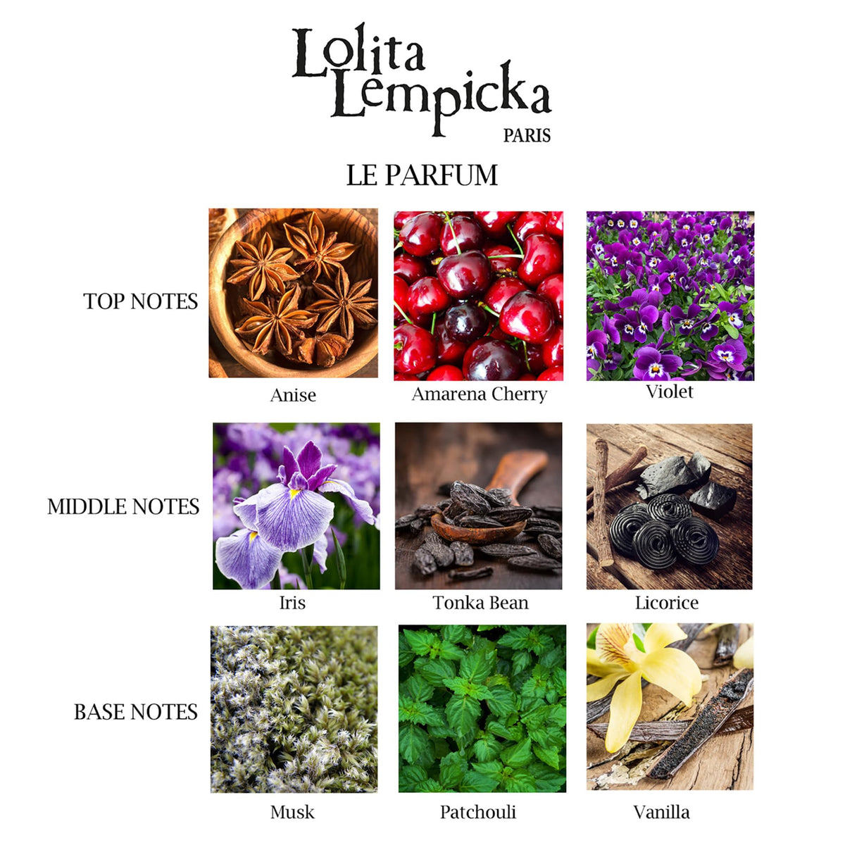 Lolita Lempicka Le Parfum cap close-up highlighting premium packaging.