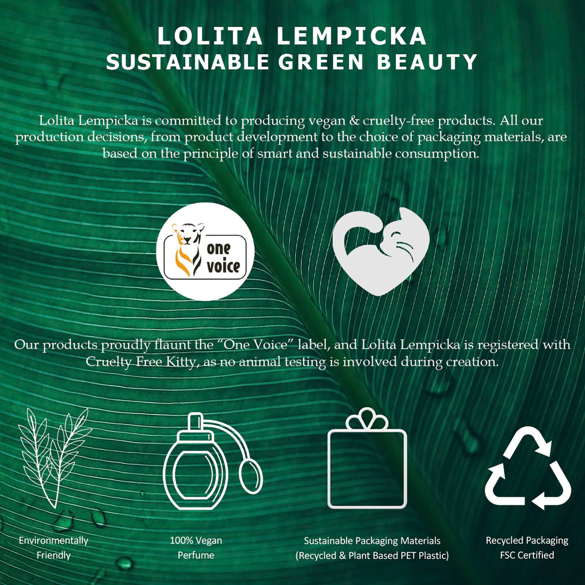 Lolita Lempicka Le Parfum vanity display ideal for everyday ritual.