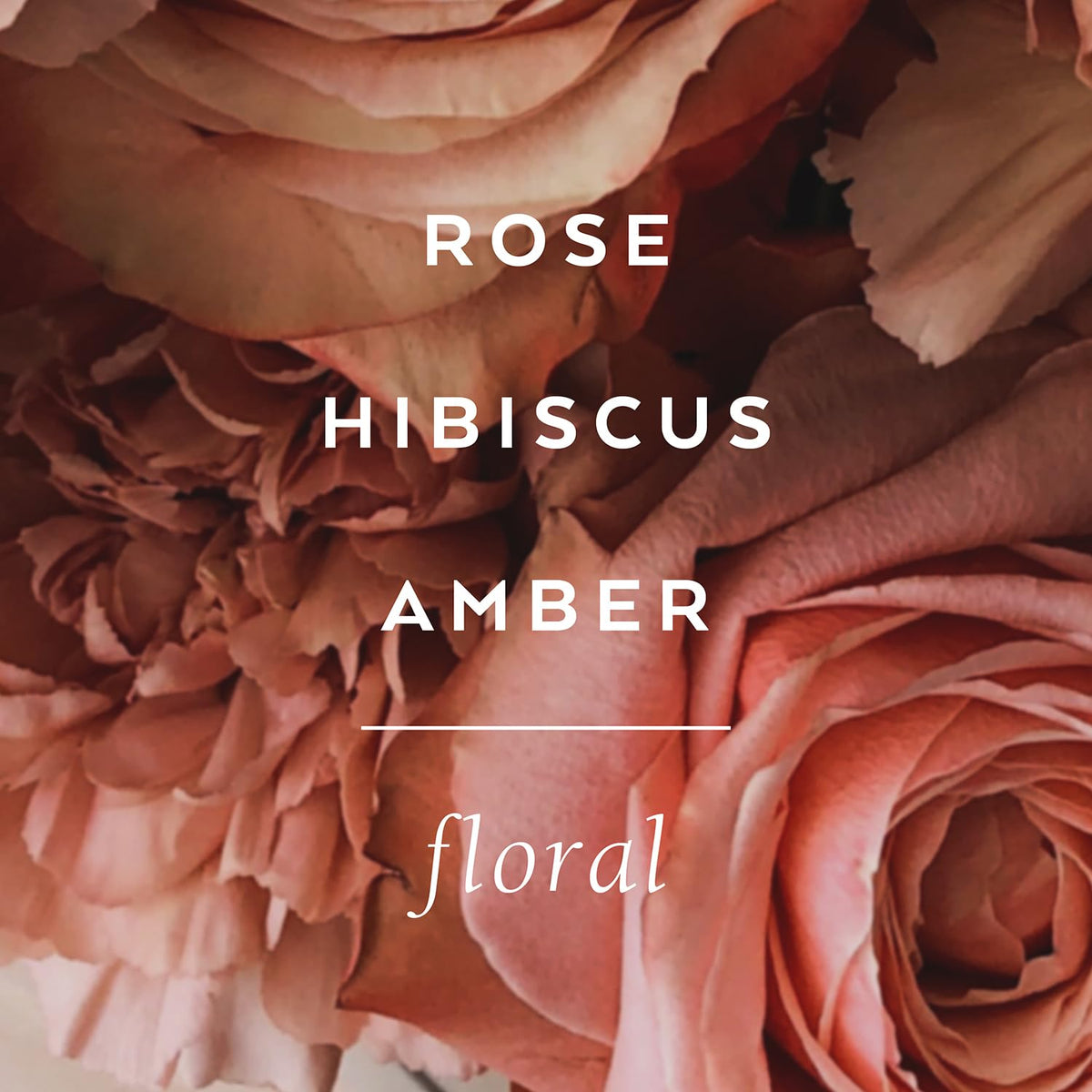 LOLLIA Rose gel ingredients closeup—shea butter and jojoba for moisturized skin.