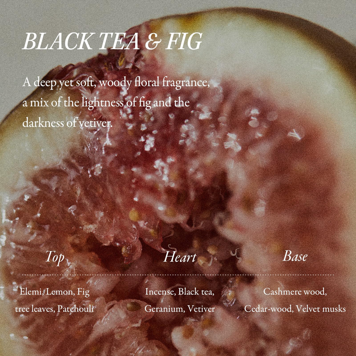 LONGTAKE Warm woodsy black tea and fig fragrance close-up