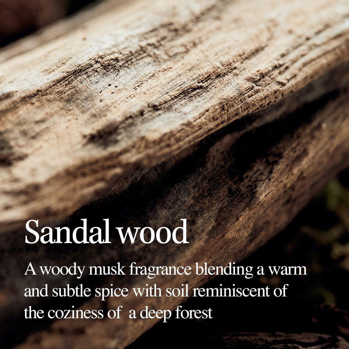 LONGTAKE sandalwood foam lather demonstrates deep hydrating cleansing for all skin types.