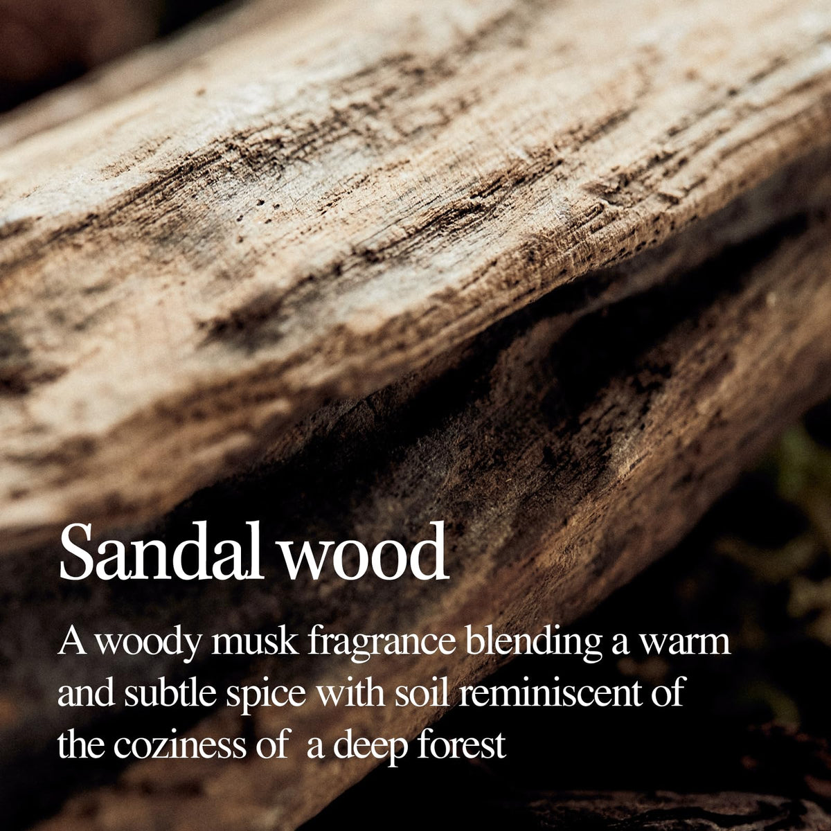 LONGTAKE Sandalwood Shampoo cap-closeup highlighting compact packaging for shower routine.
