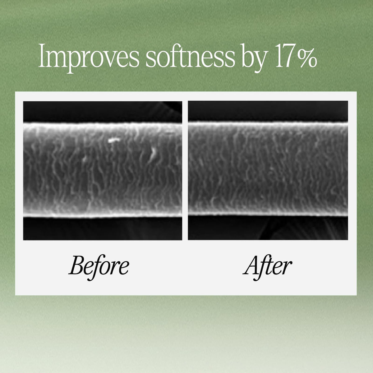 LONGTAKE Sandalwood Shampoo ingredients-label close-up with camellia oil and ceramide.