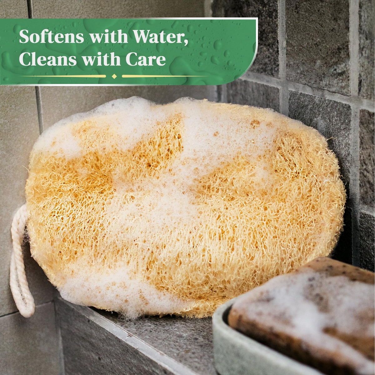 LooLife exfoliating sponge delivers durable surface for skin.