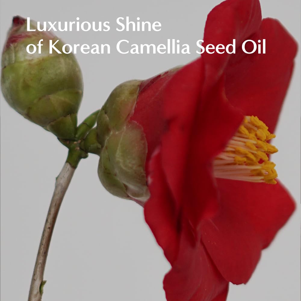 LORINIQUE Korean Keratin Leave-In ingredients close-up with keratin and amino acids.