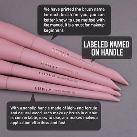 LORYP numbered brushes with guide boost ease of use for beginners and pros.