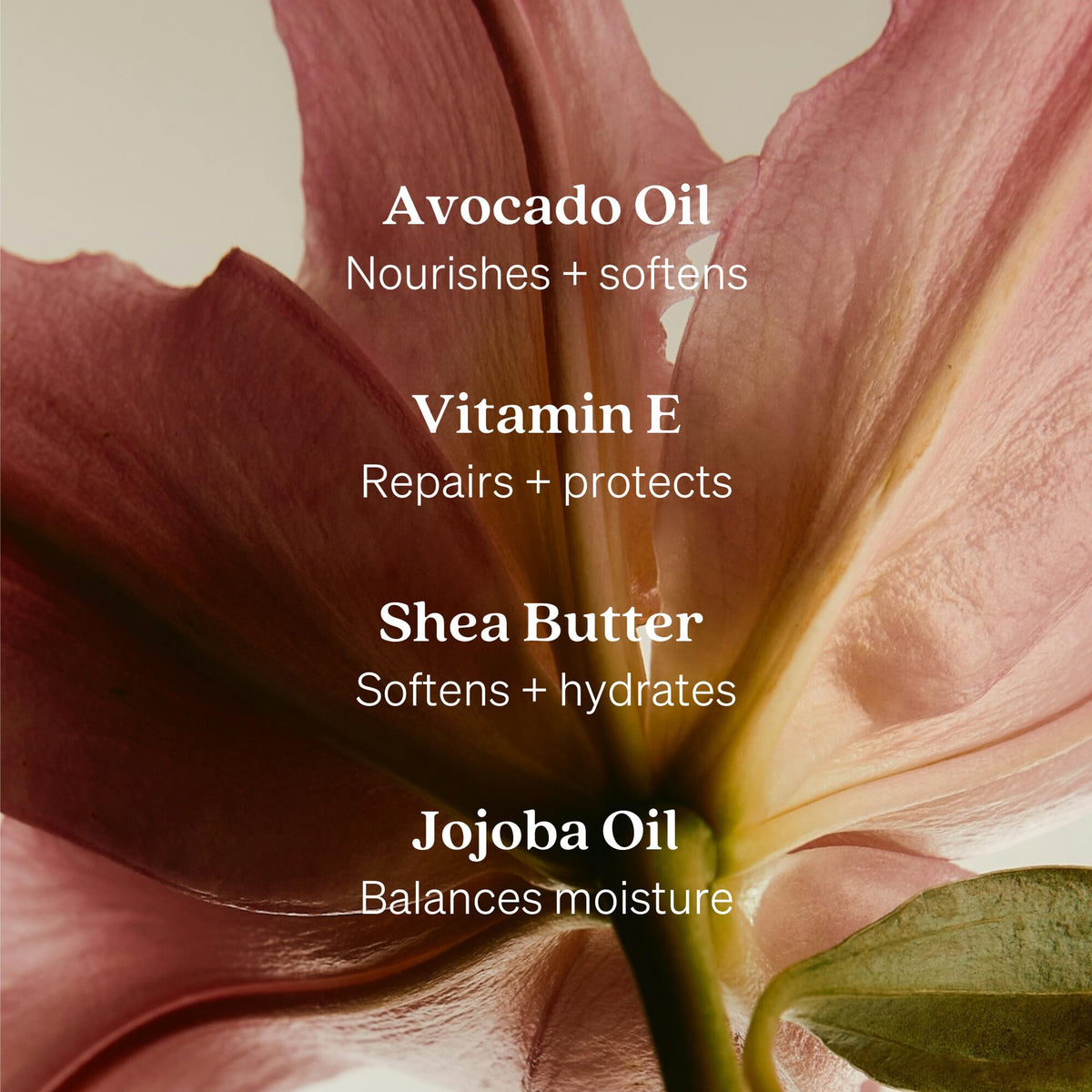 Loved01 lotion application on hands demonstrates fast absorption and softness
