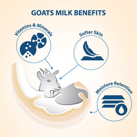 Lovercare Goat's Milk Body Wash creamy lather on damp skin delivering comfort.