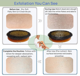 LTBLTF illustrated dry brushing guide for easy steps