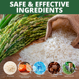 Luv Me Care Rice Water Conditioner ingredients illustration featuring botanicals
