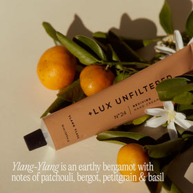 Lux Unfiltered N°24 packaging box showcases vegan, cruelty-free branding.