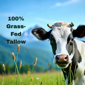 Luxvez Beef Tallow Cream applied to the face for lightweight absorption