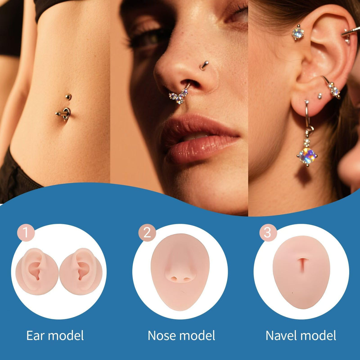 Lyuxzad professional display training setup for showcasing piercings