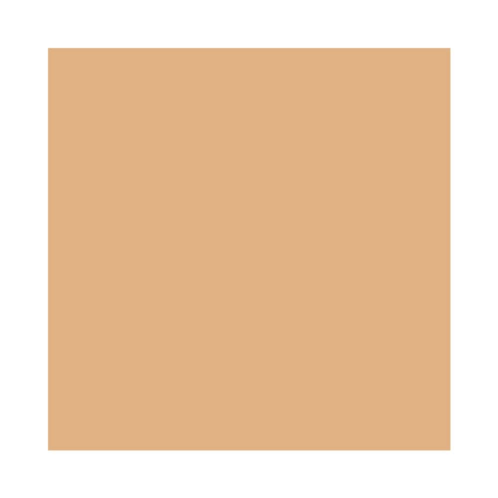 MAC Studio Fix Powder Plus Foundation C40 compact closed for on-the-go oil control.