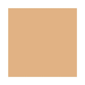 MAC Studio Fix Powder Plus Foundation C40 compact closed for on-the-go oil control.