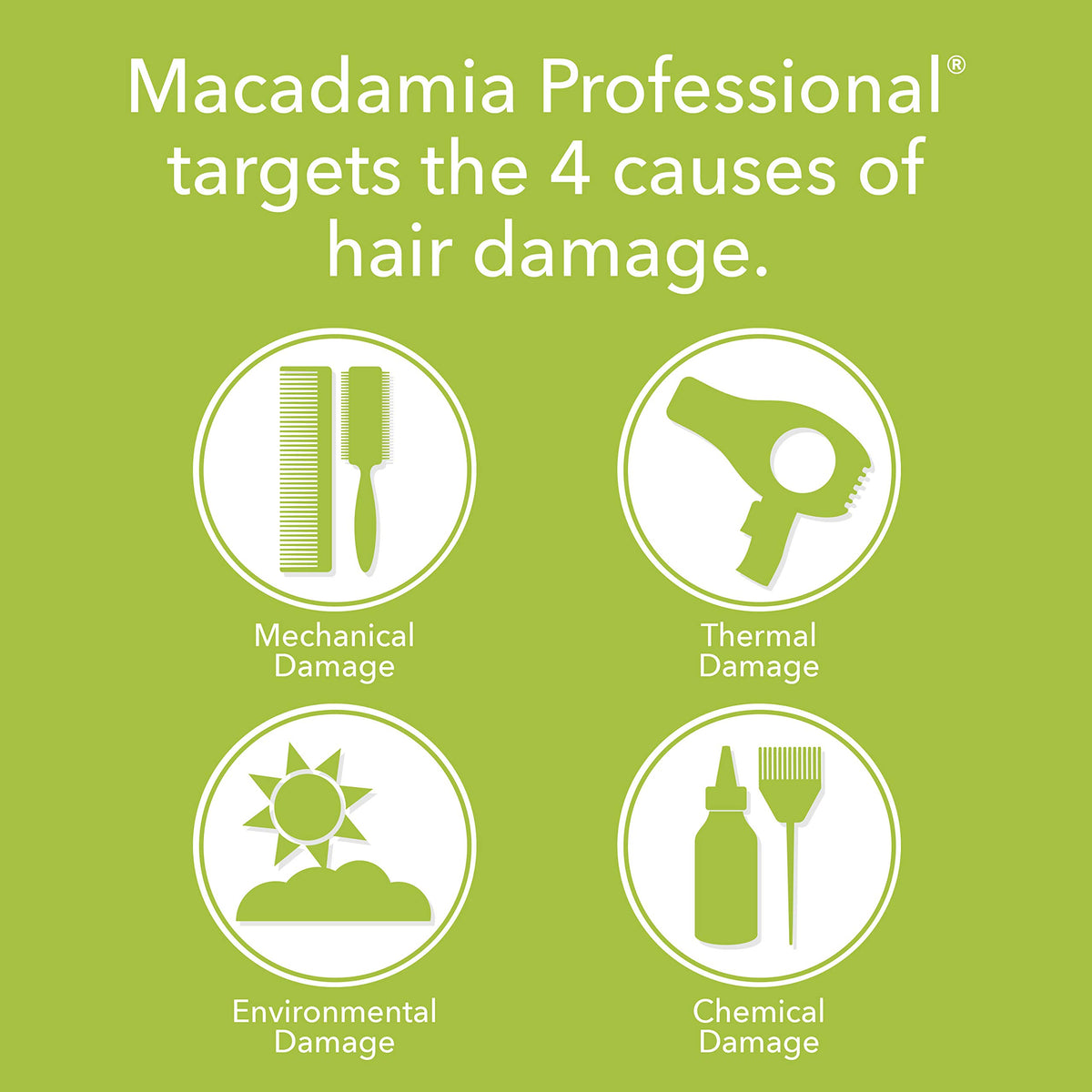 Hair model shows hydrated curls with defined pattern after use.