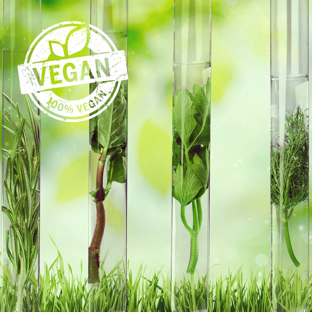 Ingredients spotlight on macadamia and argan oils for nourishment.