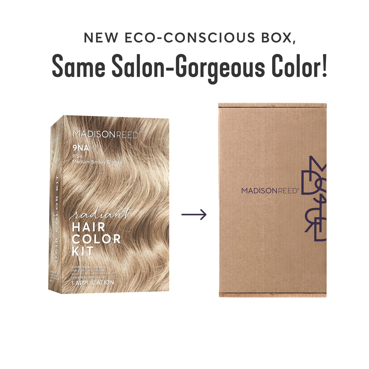 Madison Reed 9NA ash-tinged activator for cool, dimensional color at home