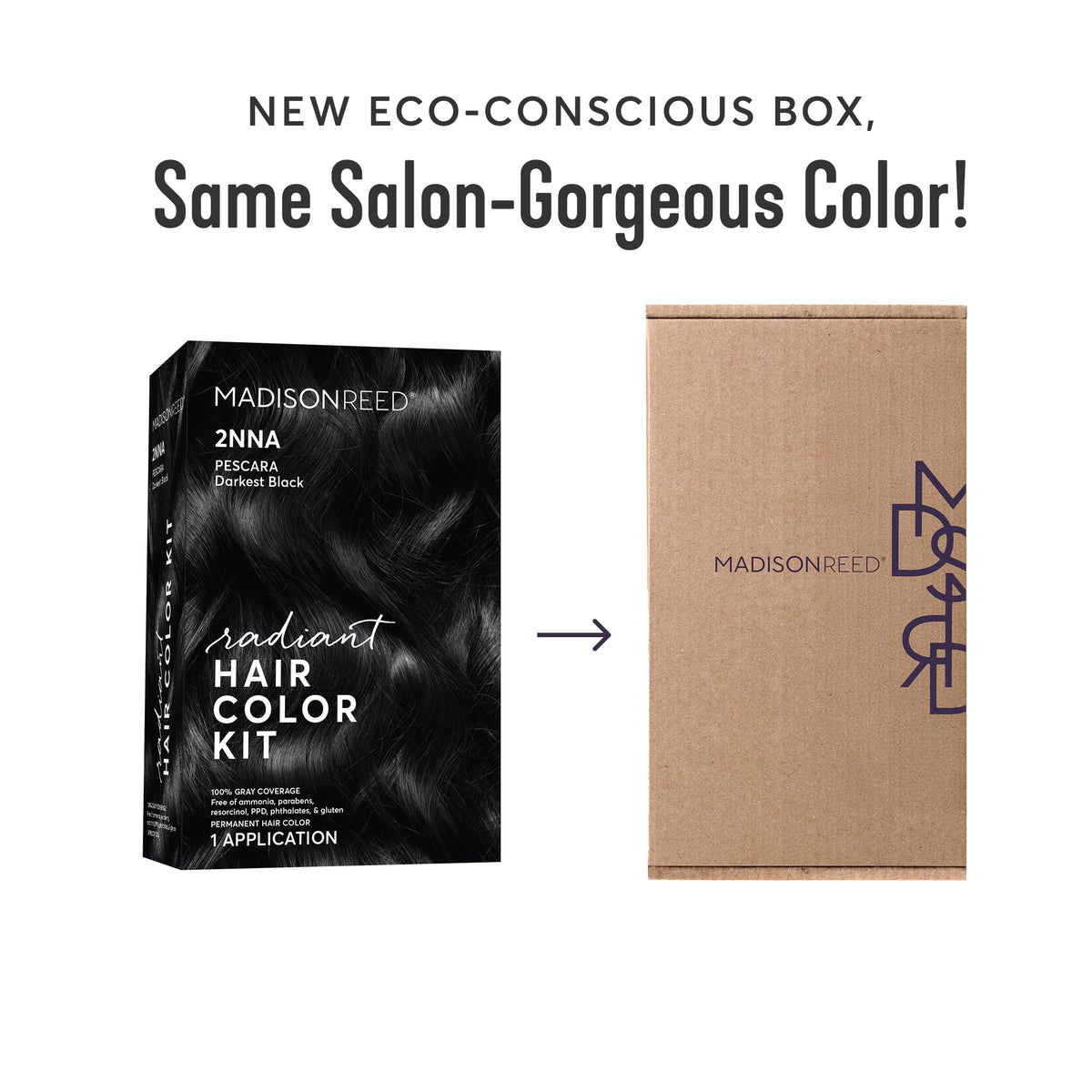 Madison Reed Pescara Black shade swatch shows dimensional cool tone.