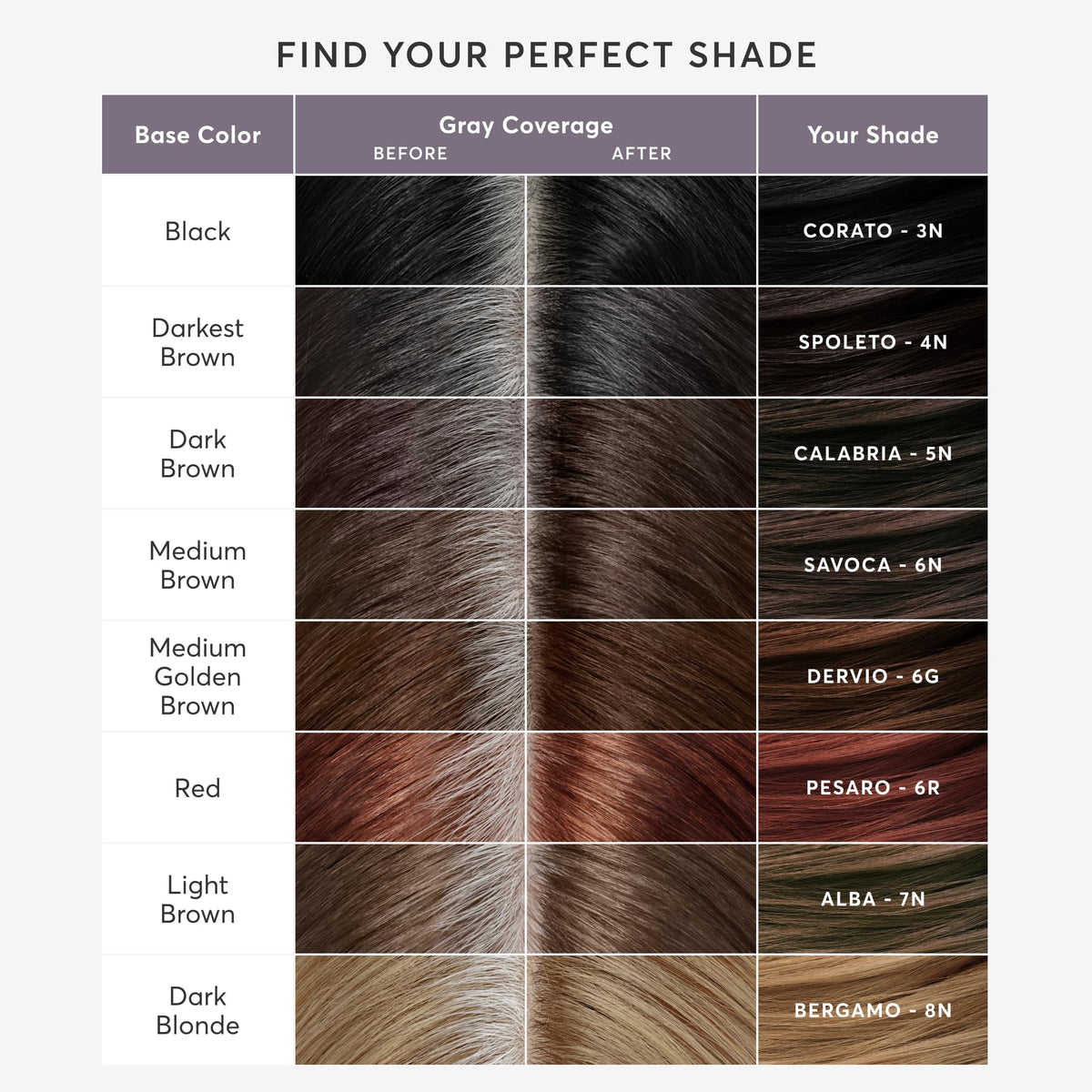 Madison Reed hair care steps illustrate maintaining color and shine