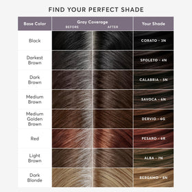 Madison Reed hair care steps illustrate maintaining color and shine