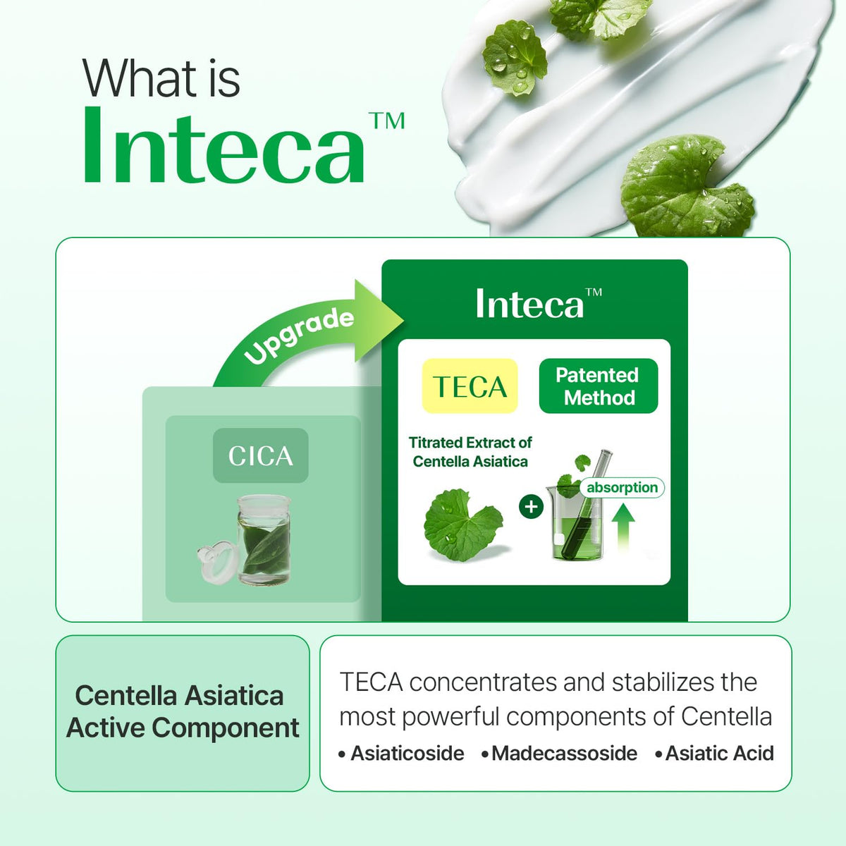 MAKEP:REM Inteca soothing cream applied under makeup for smooth wear.
