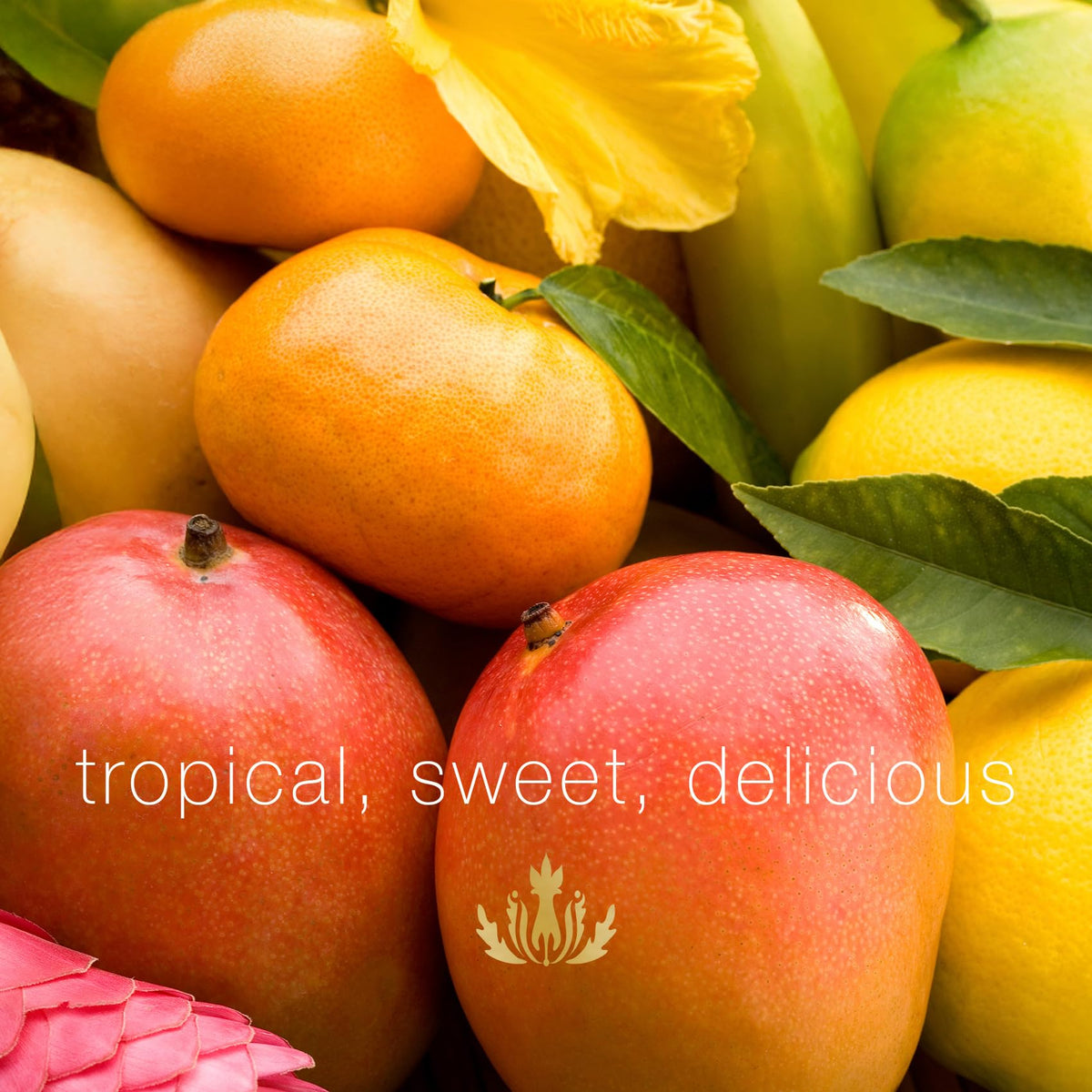 Malie Mango Nectar Conditioner avocado oil delivers rich moisture.