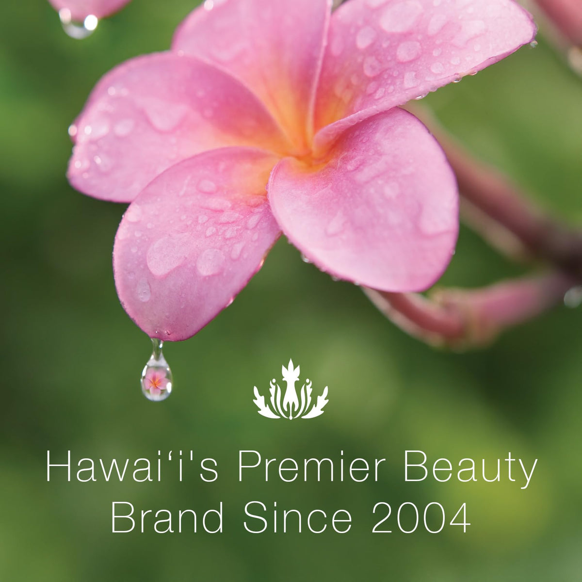 PCR packaging demonstrates eco-friendly bottle suitable for planet-conscious shoppers.