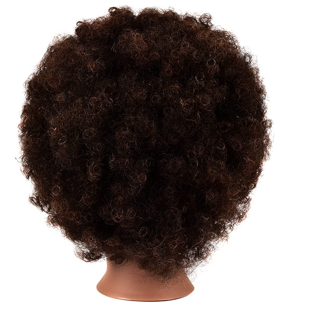 Mankainhead afro-curly head shows natural dark brown 10-inch length for authentic training.
