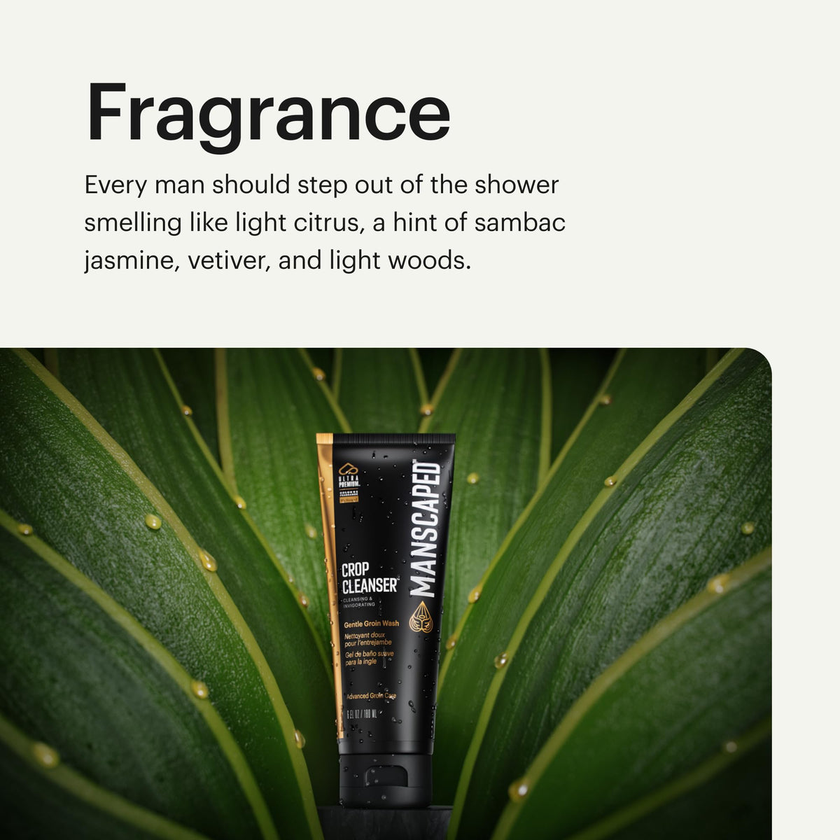 MANSCAPED Crop Cleanser Groin Wash post-workout shower cleansing for refreshed skin