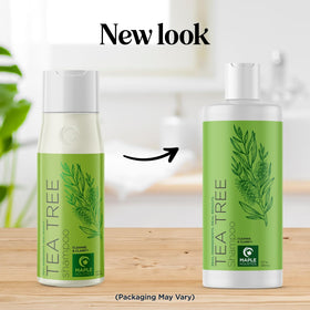 Maple Holistics Clarifying Shampoo vegan sulfate-free formula on display