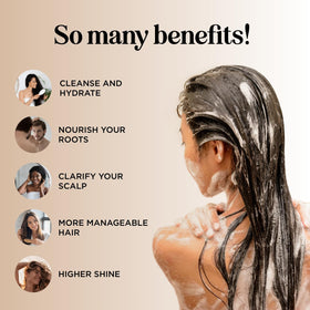 Maple Holistics Moisturizing Shampoo silk-amino-acids visual focuses on smooth, frizz-reducing hair